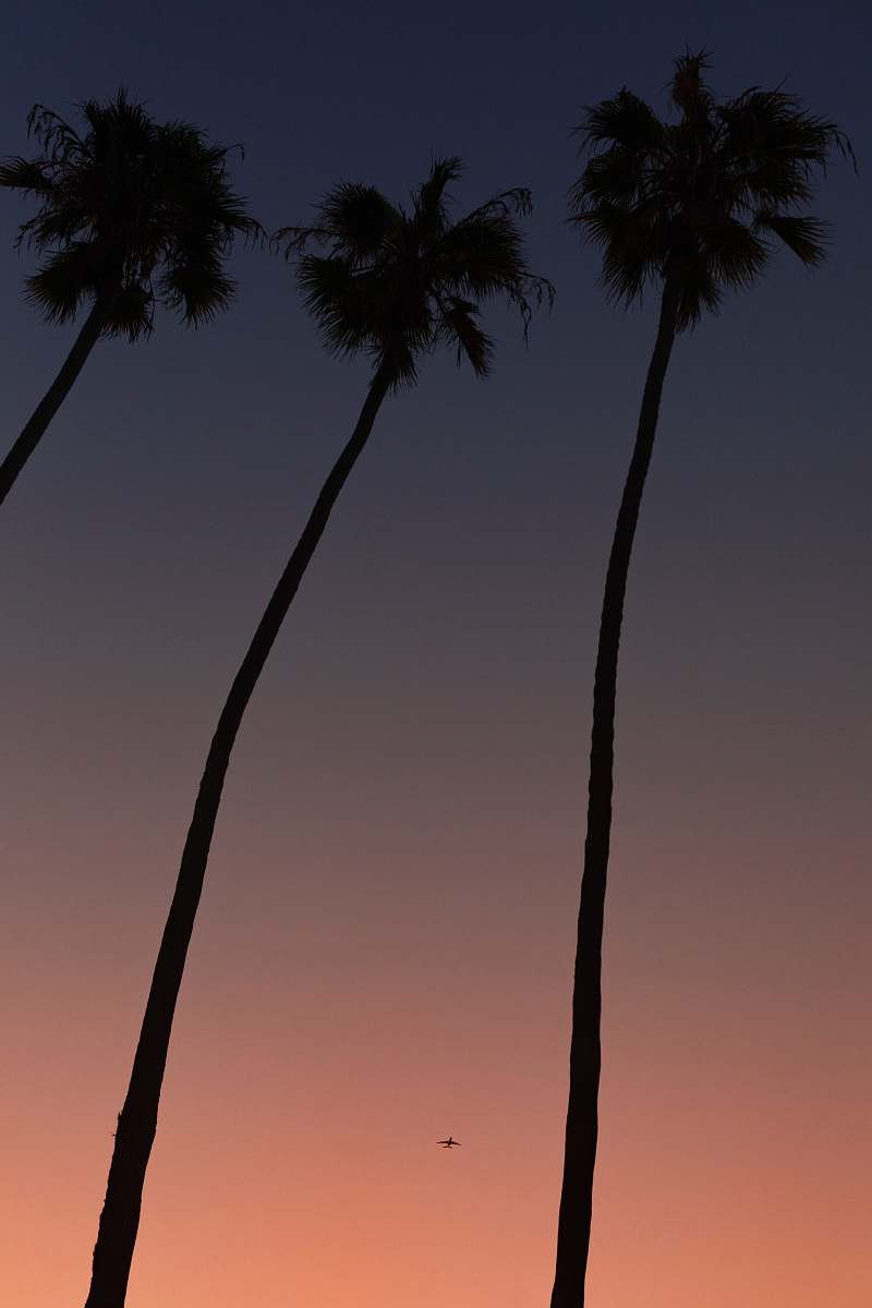 Experience the breathtaking beauty of a tropical sunset as it casts a warm glow over a cluster of palm trees, complete with lush coconuts. This captivating scene evokes a sense of tranquility and paradise, making it perfect for travel blogs, vacation brochures, or any project that seeks to capture the essence of tropical bliss. Ideal for editorial use or as a backdrop in lifestyle imagery, this picturesque landscape will transport viewers to an idyllic beach setting.